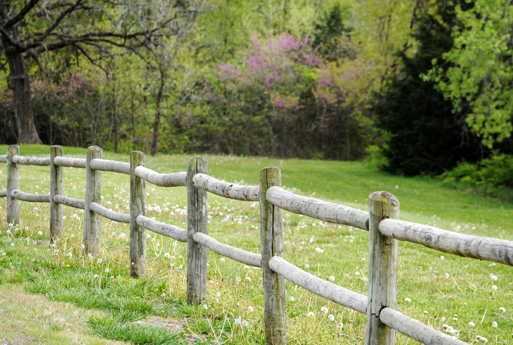 Country Fence by genealogygenie