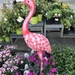 Flamingo upgrade by pandorasecho