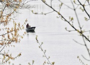 30th Apr 2019 - morning fisherman