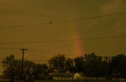 30th Apr 2019 - Mourning Dove and Rainbow