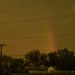Mourning Dove and Rainbow by kareenking