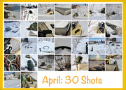 30th Apr 2019 - April: 30 Shots - DONE!