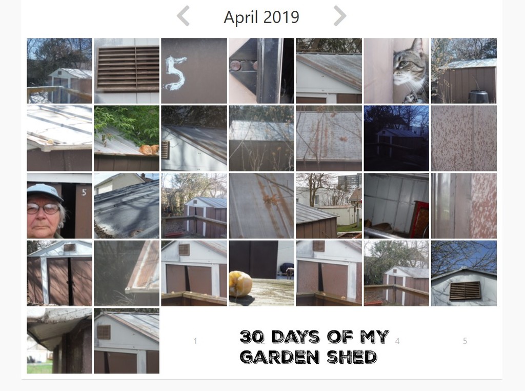 Garden Shed (All 30 Shots) by spanishliz