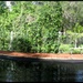 Little pool panorama... by robz