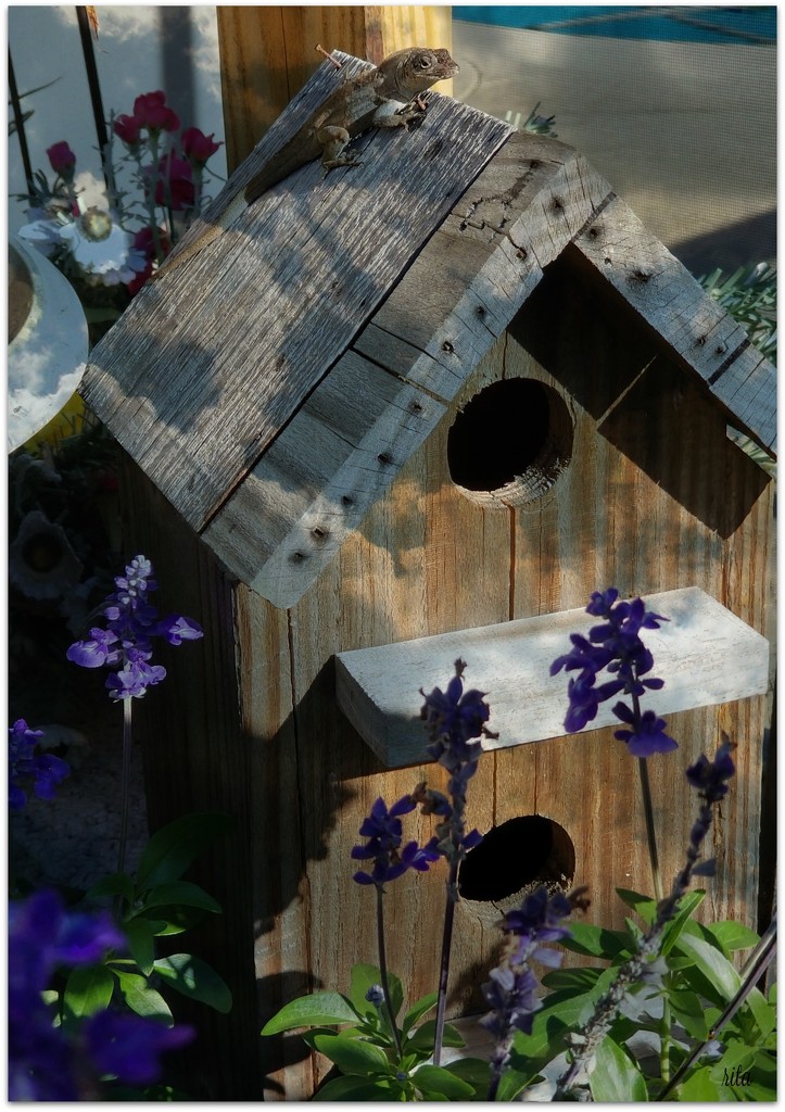 spring & home repairs by arayofsrqsun