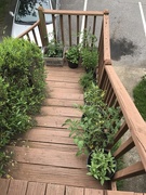 30th Apr 2019 - Our steps