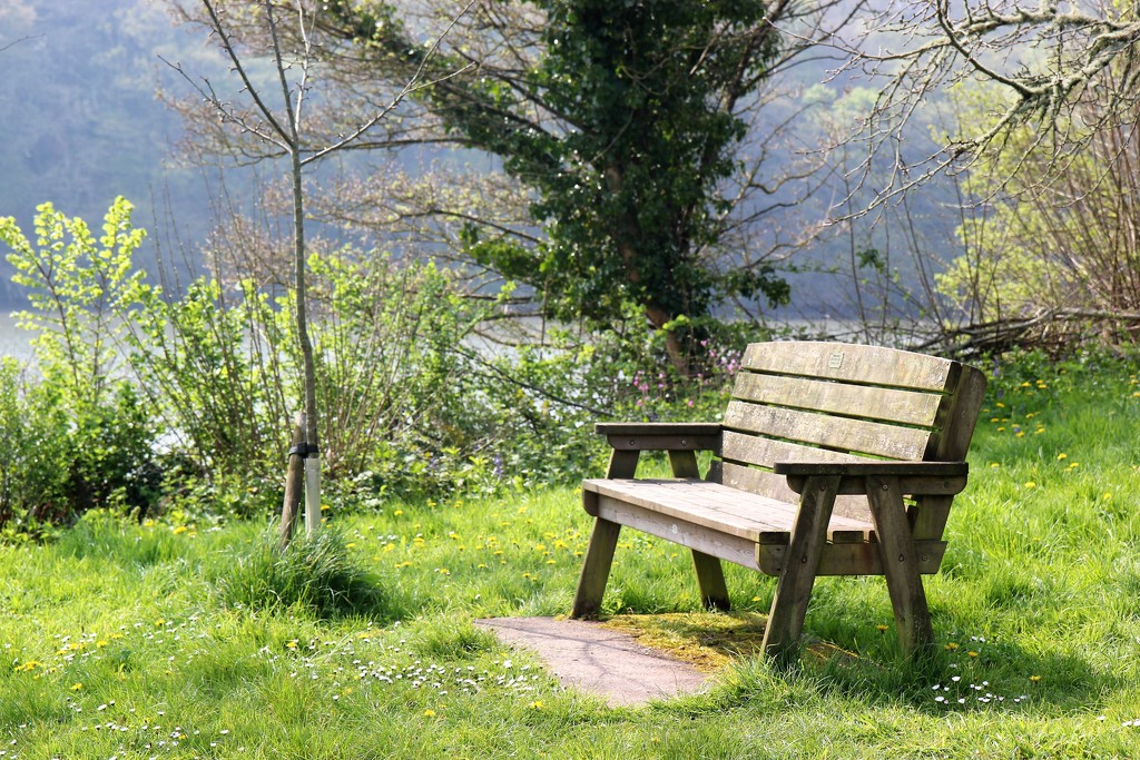 Bench by cookingkaren