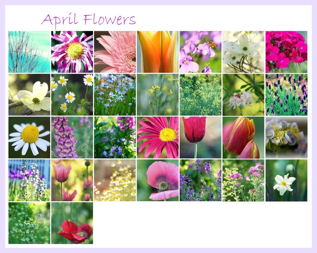 April-Calendar by sunnygirl