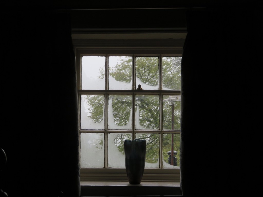 Window by lellie