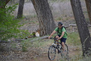 2nd May 2019 - Riding A Bike In The Bosque.