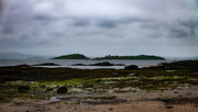 2nd May 2019 - Inchcolm