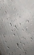 1st May 2019 - Rainy day