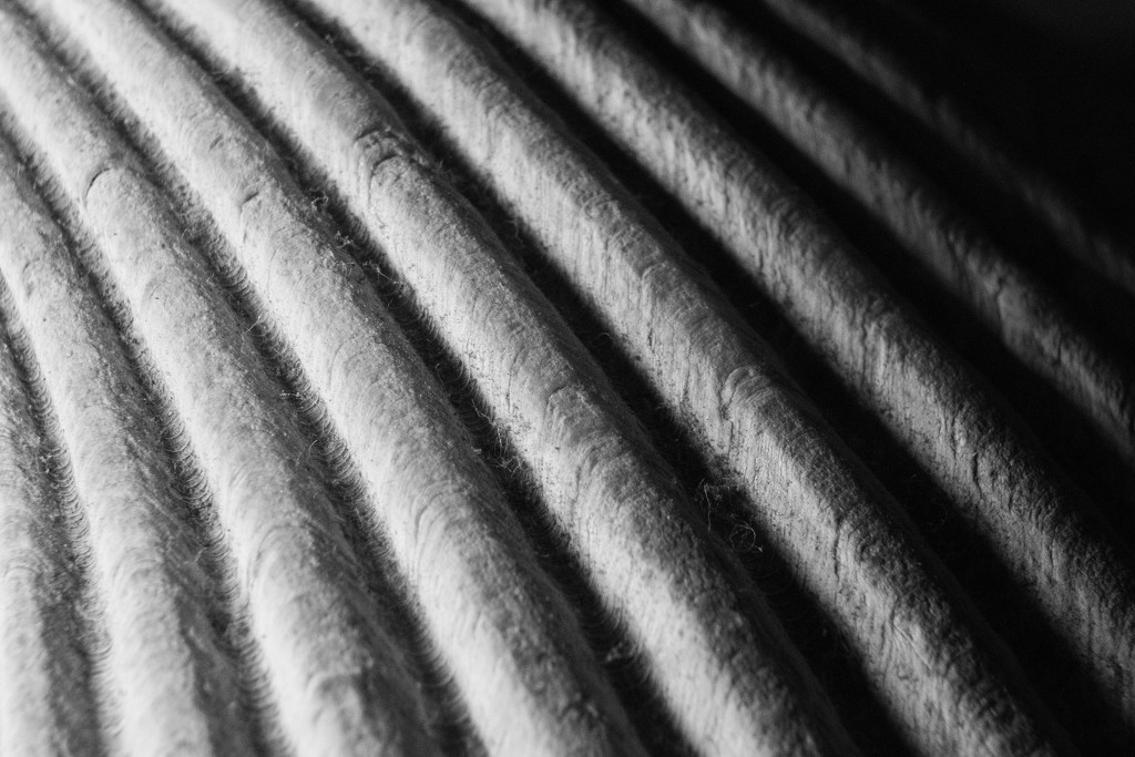 B&W Texture Study by tdaug80