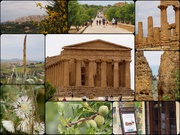 3rd May 2019 - Another day in Agrigento 