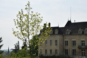 2nd May 2019 - Chateau Potel