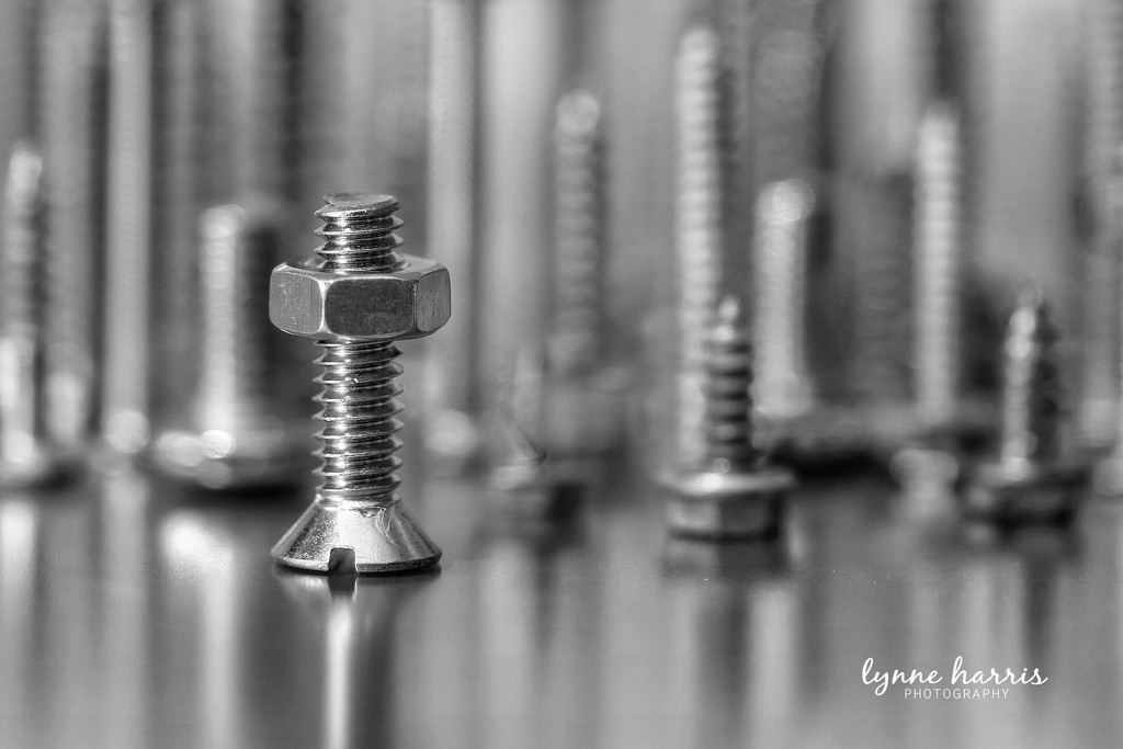 It's All About the Nuts and Bolts by lynne5477