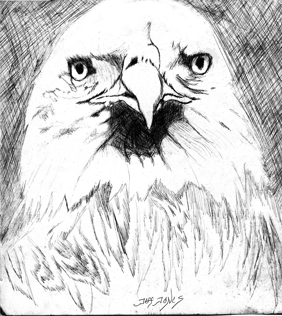Eagle pen and ink - J Jones 1985 by jeffjones