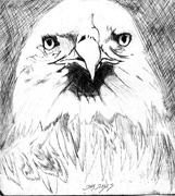 30th Apr 2019 - Eagle pen and ink - J Jones 1985