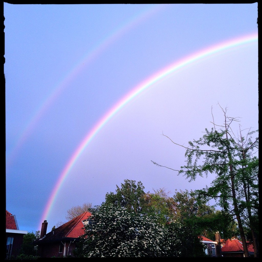 Rainbowbow by mastermek