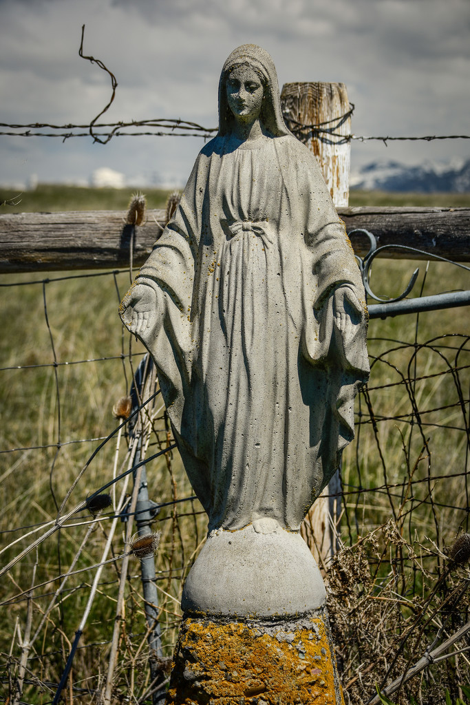 Statue of Mary by 365karly1