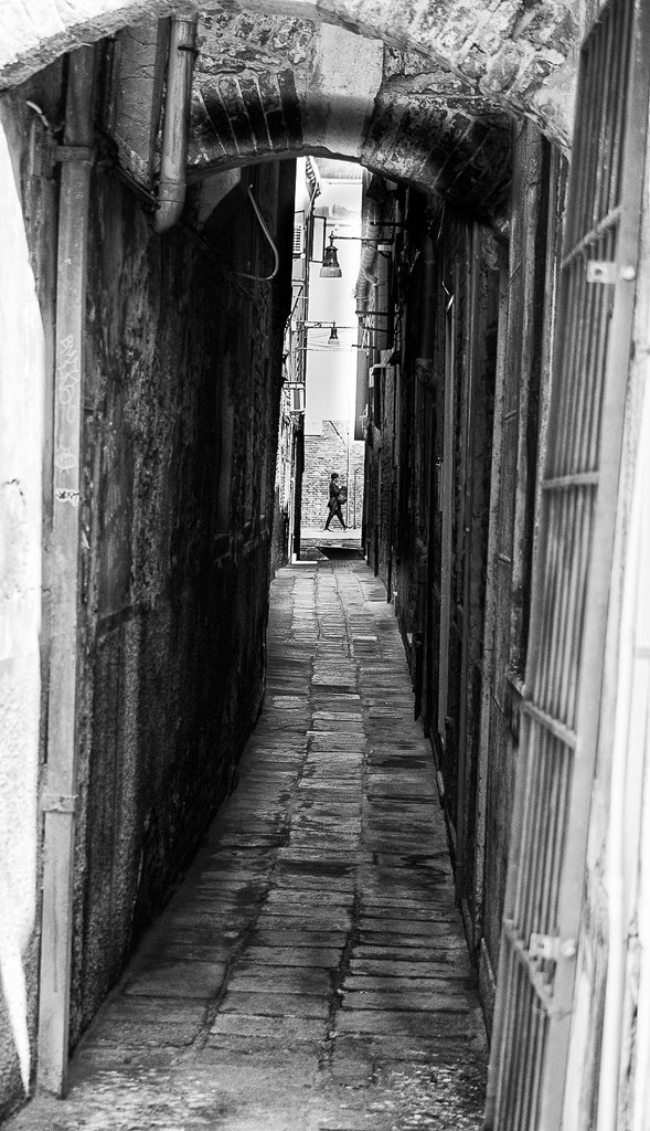 crooked calle  by caterina