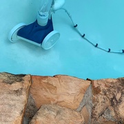 5th May 2019 - The pool robot