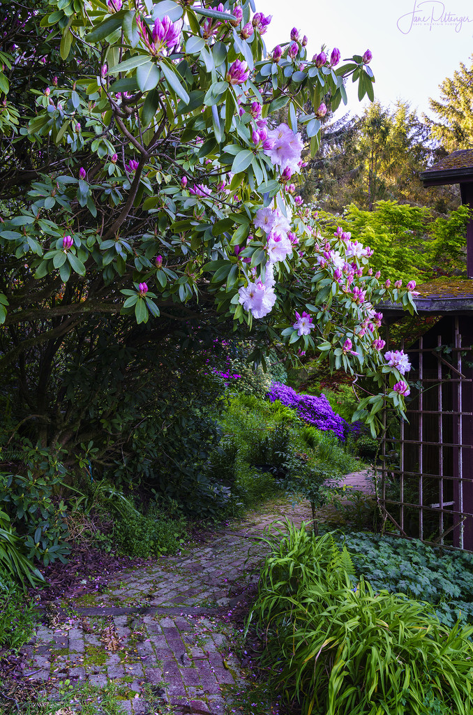 Garden Archway by jgpittenger