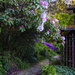 Garden Archway by jgpittenger