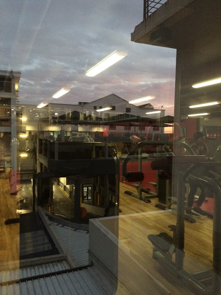Sunday afternoon in the gym by lmsa