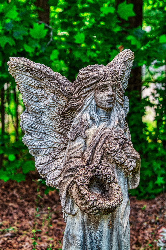 Angels Among Us by kvphoto
