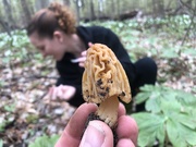 2nd May 2019 - First morel find ever 