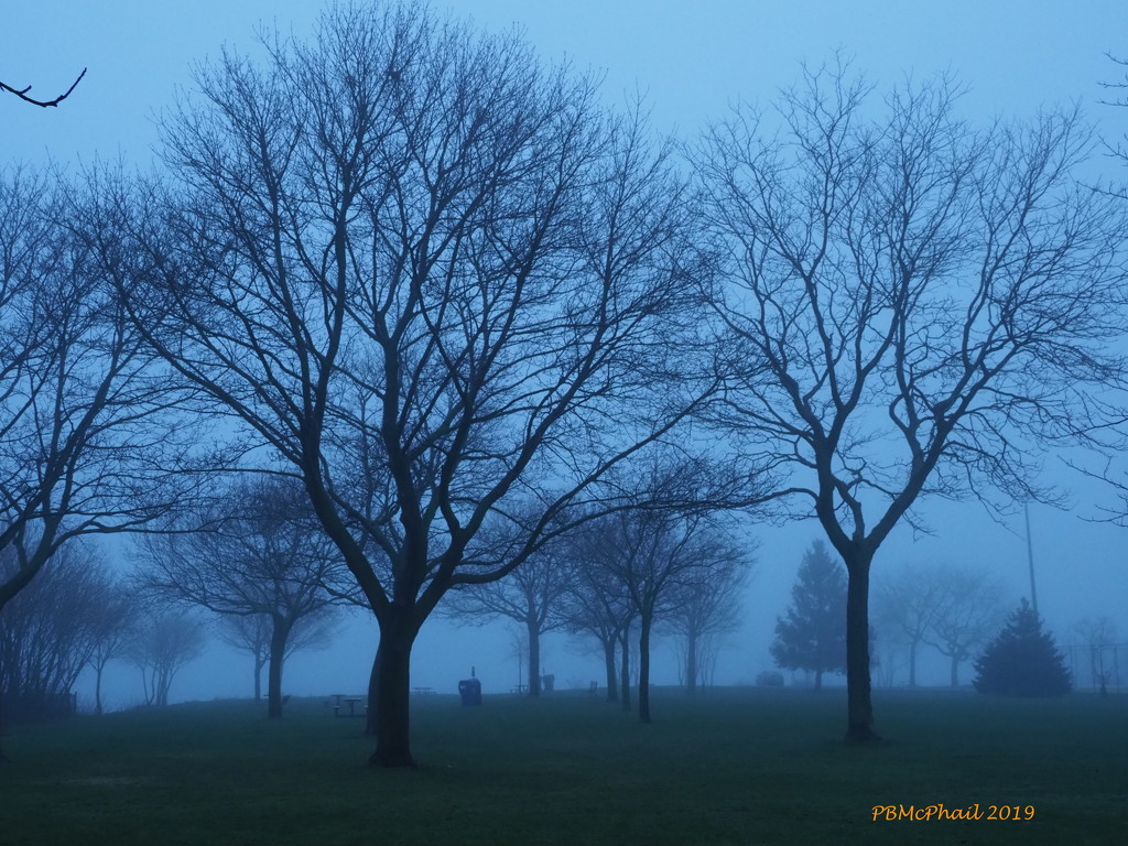 Misty Morning 2 by selkie