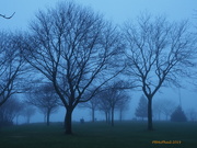 2nd May 2019 - Misty Morning 2
