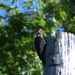 Woodpecker 1 by gtoolman8