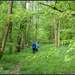 Annual pilgrimage to the Bluebell woods. by jokristina