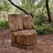 Forest Furniture by 4rky