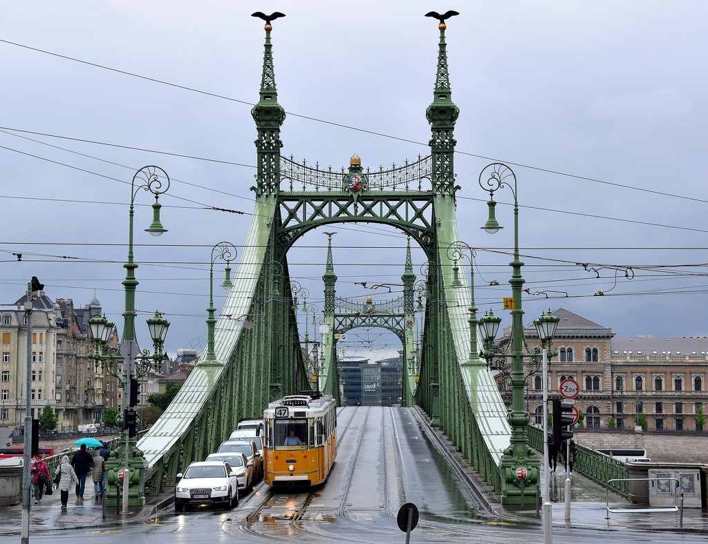 The Freedom Bridge by kork