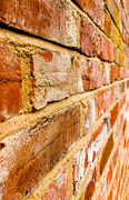 6th May 2019 - Just another brick in the wall