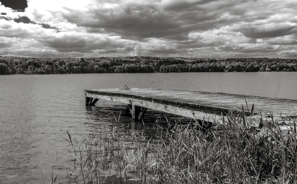 Jetty on Paimpont Lake by vignouse