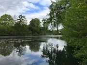 6th May 2019 - Loch Neaton