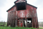 6th May 2019 - Front of the barn