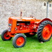 Orange Tractor by davemockford