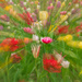 Colourful meadow by haskar