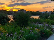 7th May 2019 - Sunset in the gardens at Colonial Lake Park in Charleston.