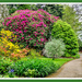 A Profusion Of Colour,Chirk Castle Gardens by carolmw