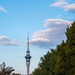 Auckland Sky Tower by creative_shots