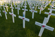 25th Mar 2019 - ANZAC day memorial crosses