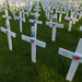 ANZAC day memorial crosses by creative_shots