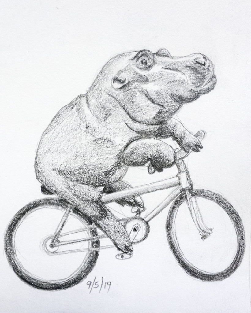 Bike Riding Hippo by harveyzone