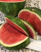 10th May 2019 - watermelon